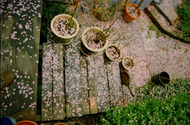 Steel and White Oak Deck Greenwich Village c1998